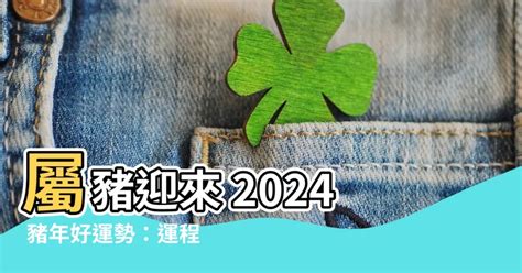 2024 豬運勢|【2024豬年】生肖豬2024好運滾滾來！屬豬運勢、幸。